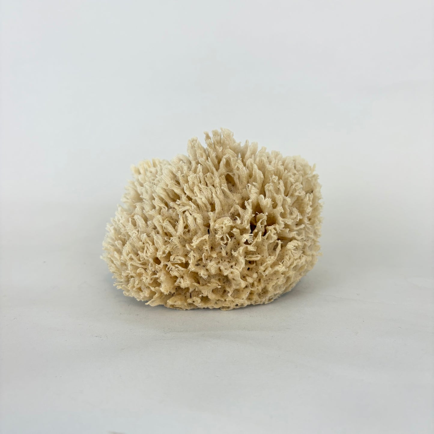 Mediterranean Wool Bath Sponge